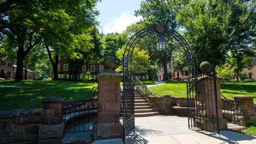 Hamilton Ave Gate during the summer