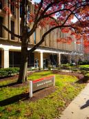 School of Nursing