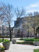 School of Engineering