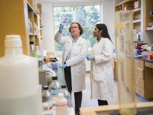 Professor and postdoctoral fellow looking at a test result in the lab