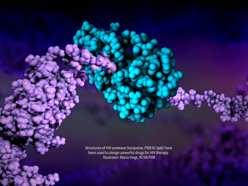 protein structure