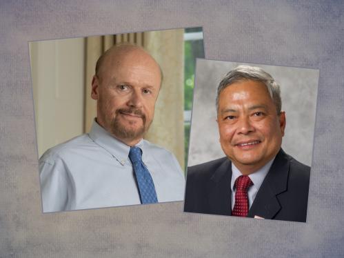 university professorships