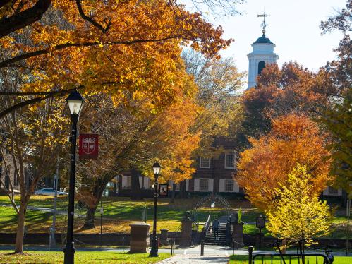 fall trees with old queens in the background