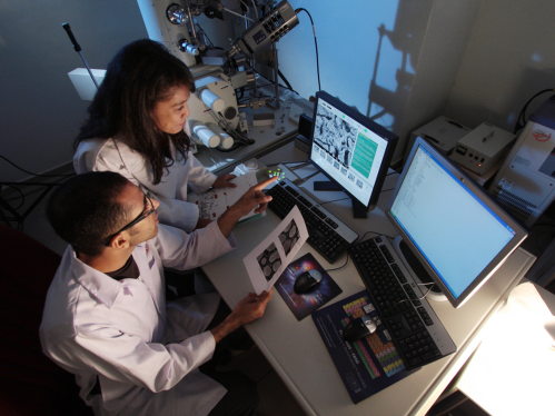 Two biomedical researchers standing next to each other looking at data and monitor