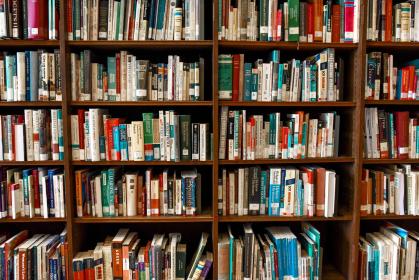 BOOKS ON A SHELF