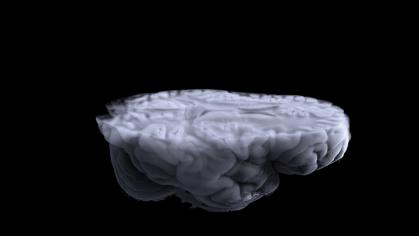 gray image of a brain 